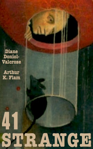 41 Strange book cover